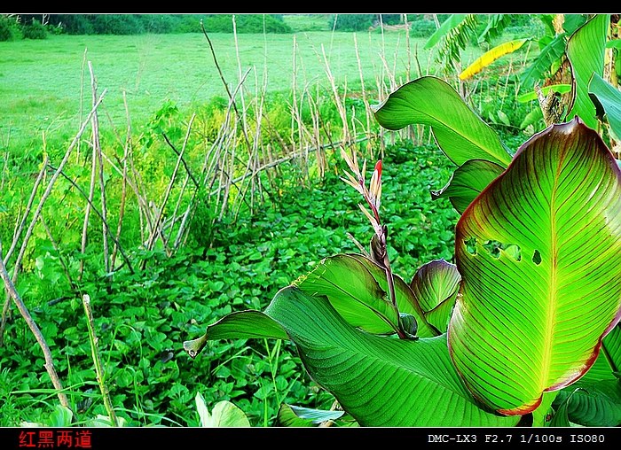 neo_img_1005beihai (123).jpg
