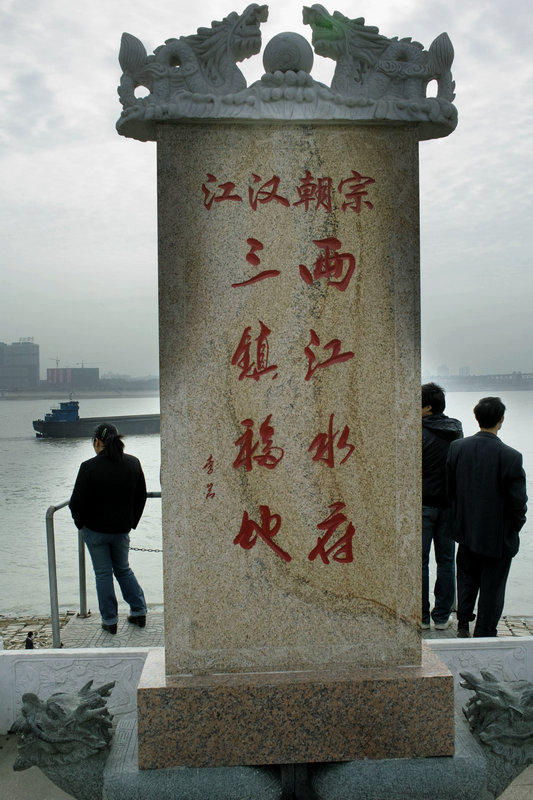 sdim0460.jpg