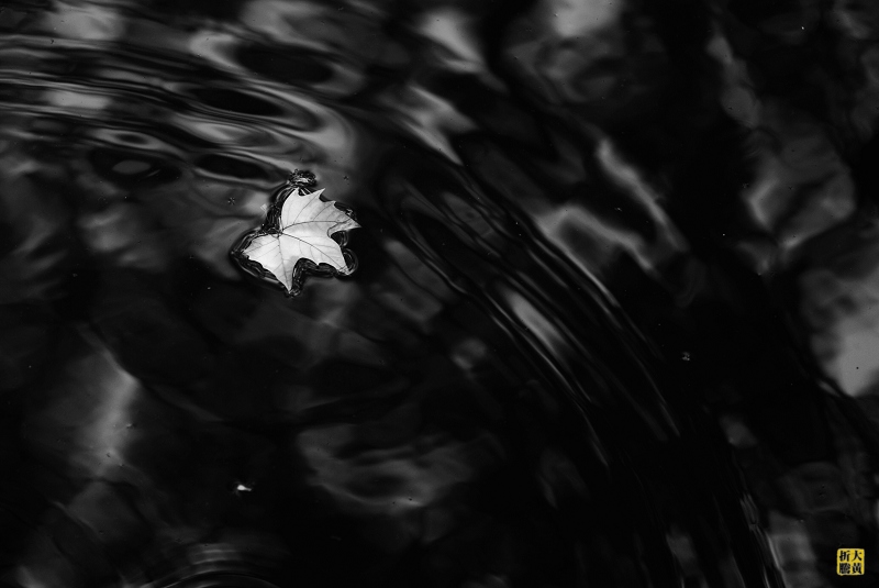 dsc_0182+1.jpg