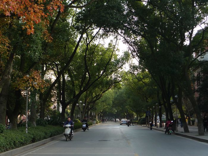 p1010017.jpg