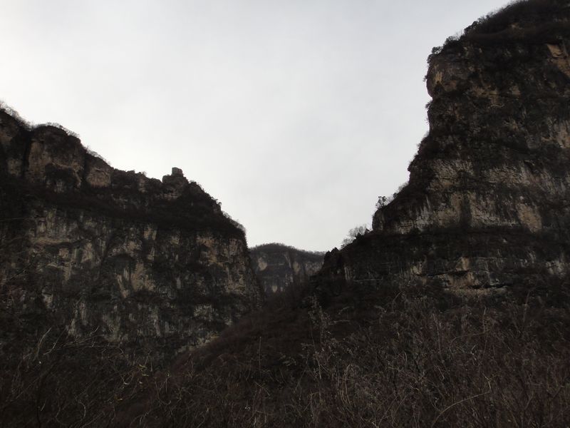dsc00993.jpg