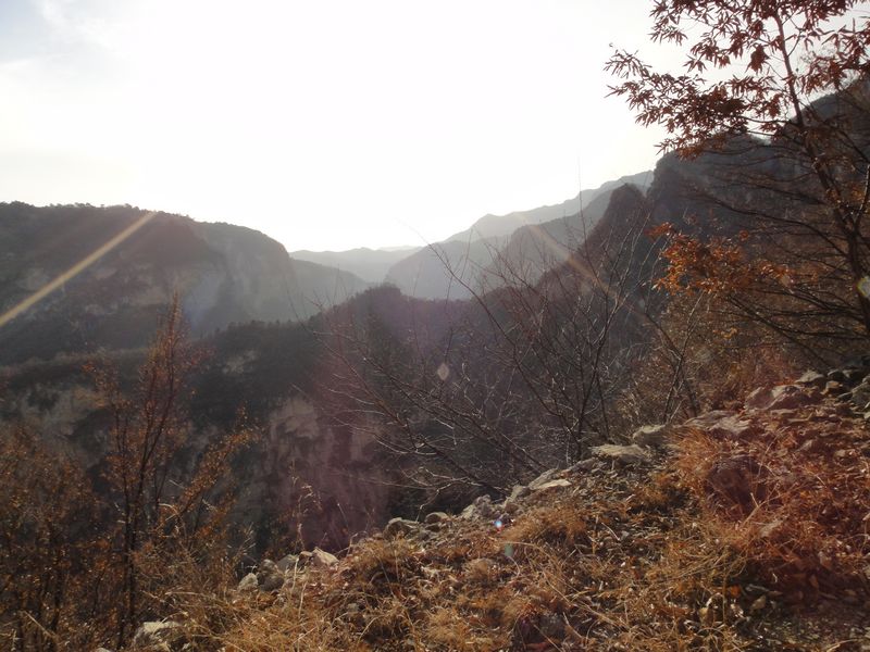 dsc01022.jpg