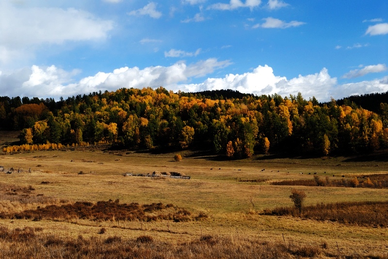 dsc_0690014.jpg