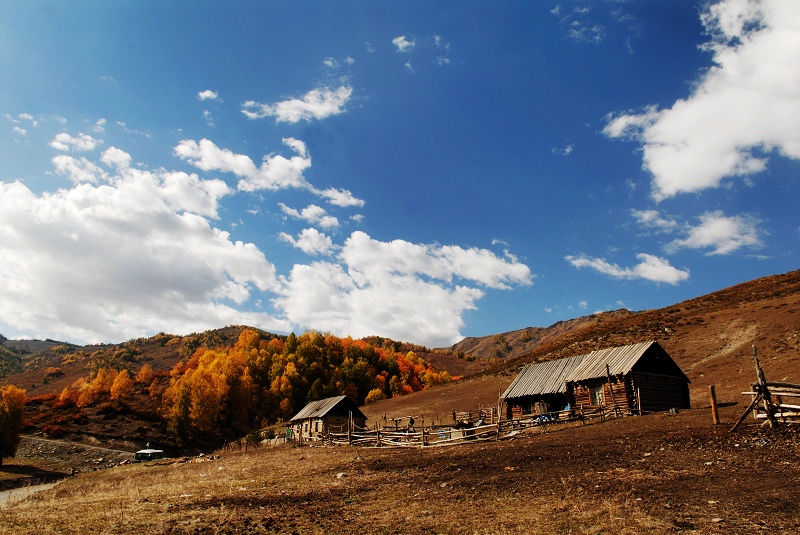 dsc_0608444.jpg