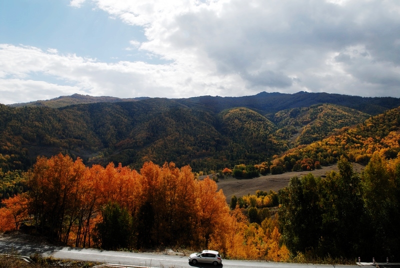 dsc_0604018.jpg