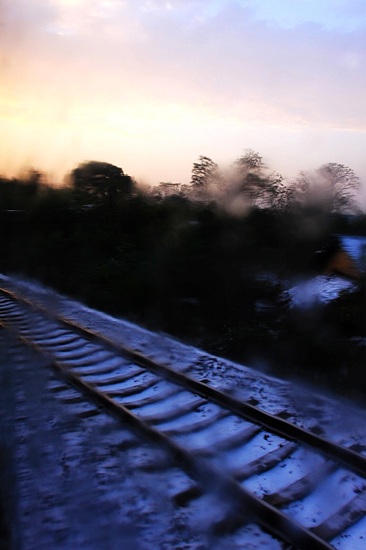 img_2931.jpg