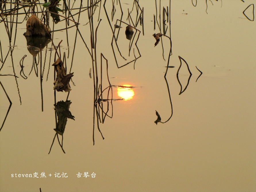 古琴台活动 485.jpg