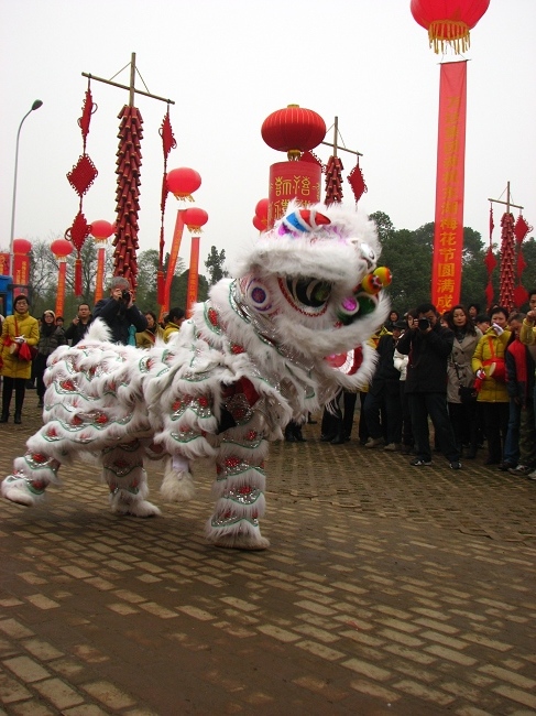 neo_img_img_6454.jpg