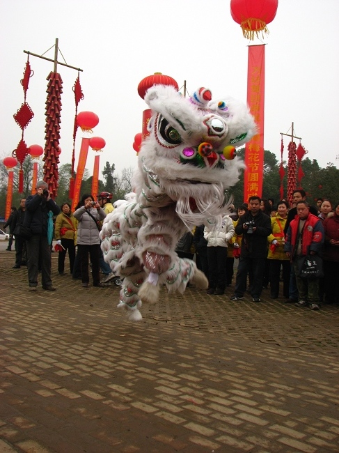 neo_img_img_6457.jpg