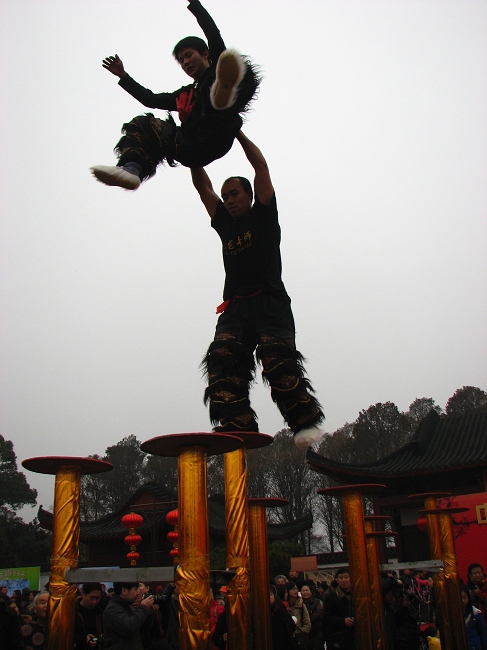 neo_img_img_6395.jpg