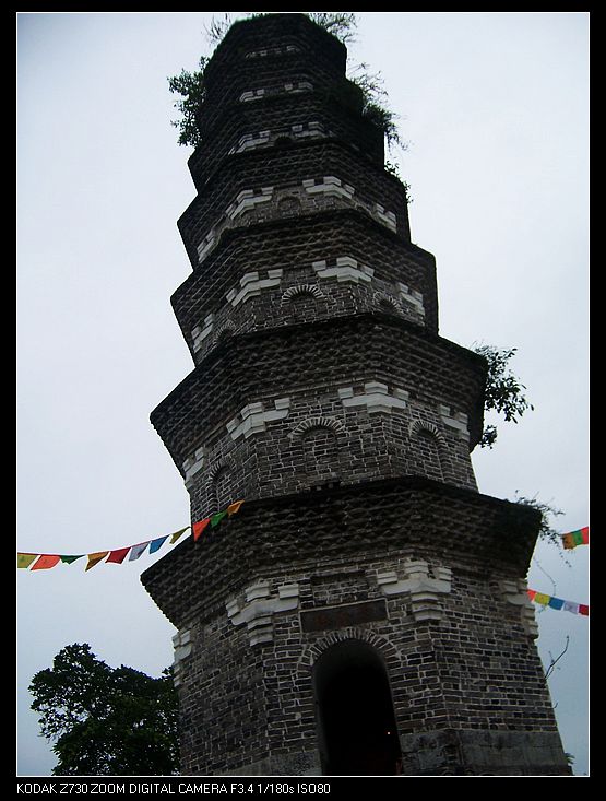 2010-1-14 344.jpg