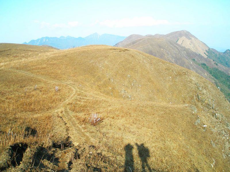 p2193312.jpg