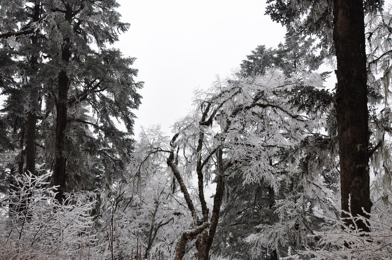dsc_0074.jpg