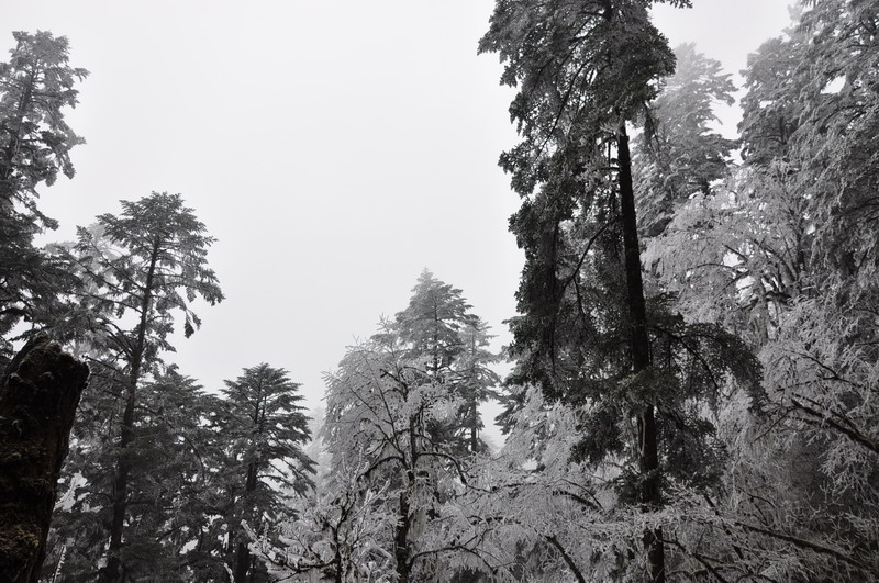 dsc_0084.jpg