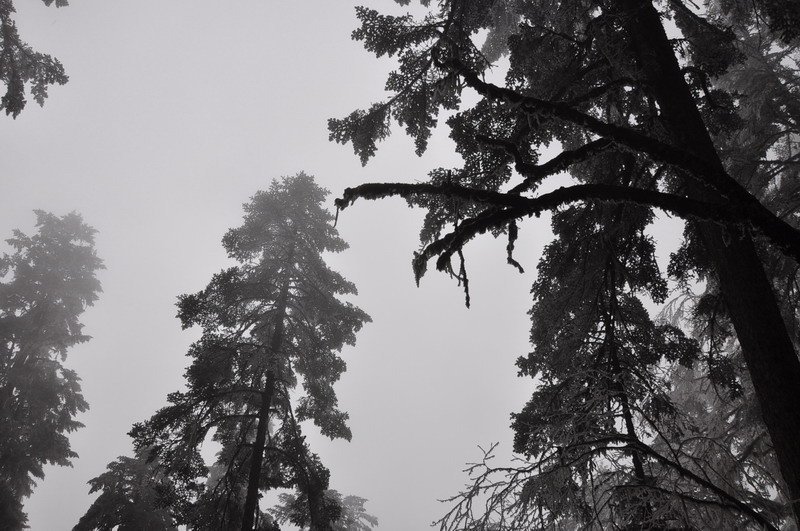 dsc_0086.jpg