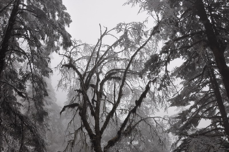 dsc_0087.jpg