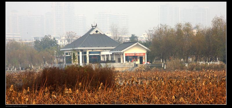 img_0017.jpg
