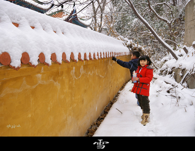 pict0025-10.jpg
