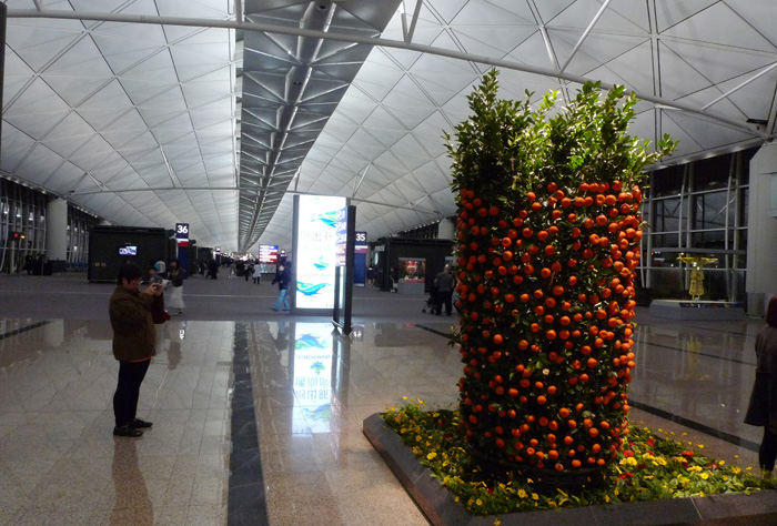 p1020411.jpg