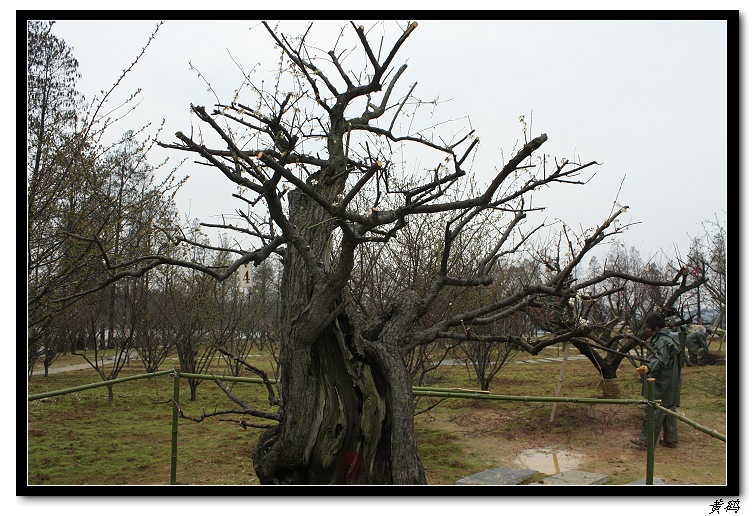 Ƭ 026.jpg