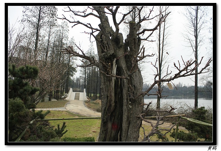 Ƭ 053.jpg