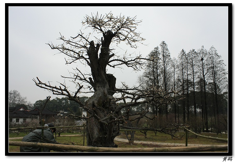 Ƭ 015.jpg