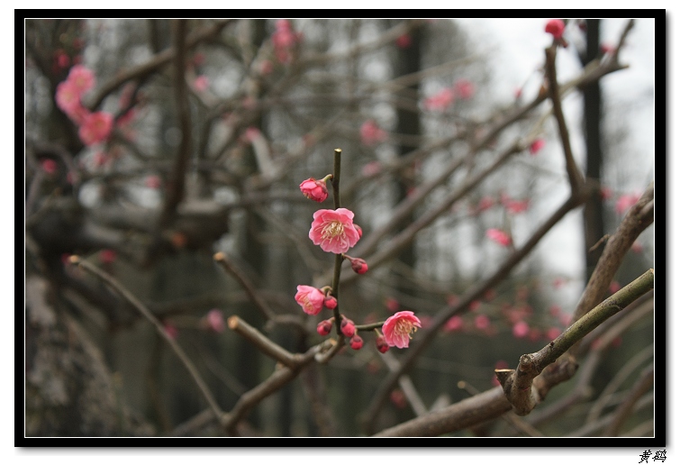 Ƭ 023.jpg