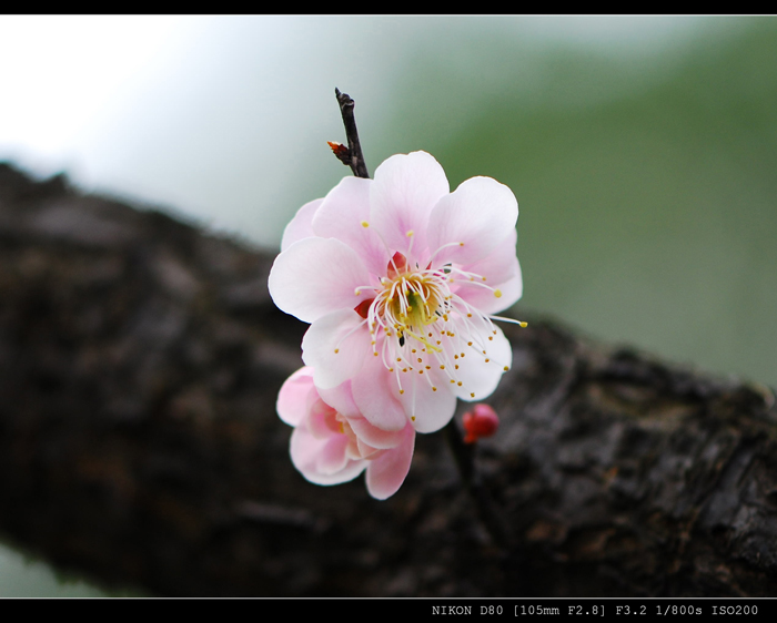 dsc_5418.jpg