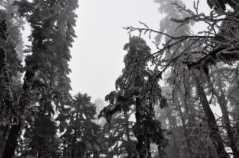 dsc_0105.jpg