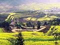 wuyuan.jpg