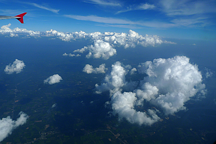 p1020554.jpg