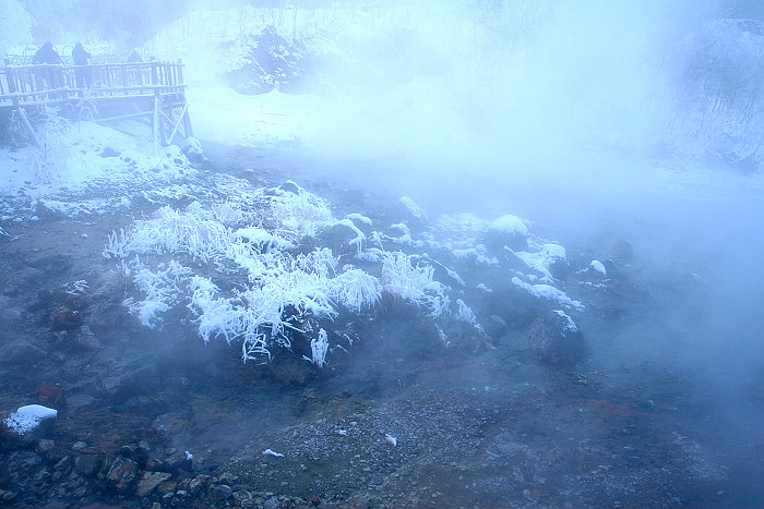 20091111_3045.jpg