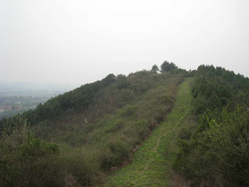 img_4282.jpg