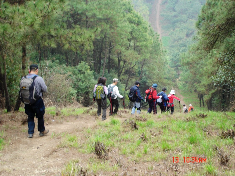 dsc00883x.jpg