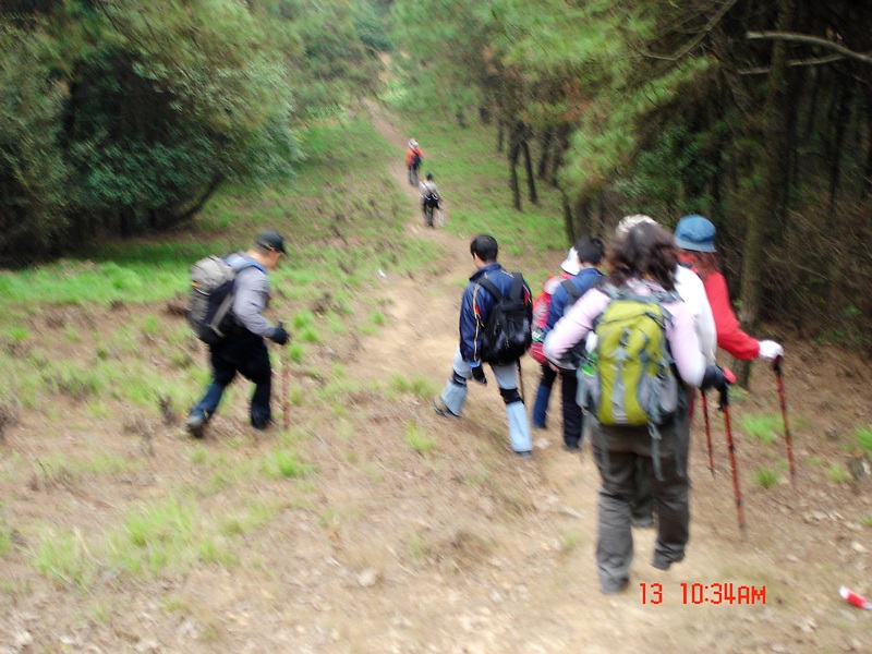 dsc00884x.jpg