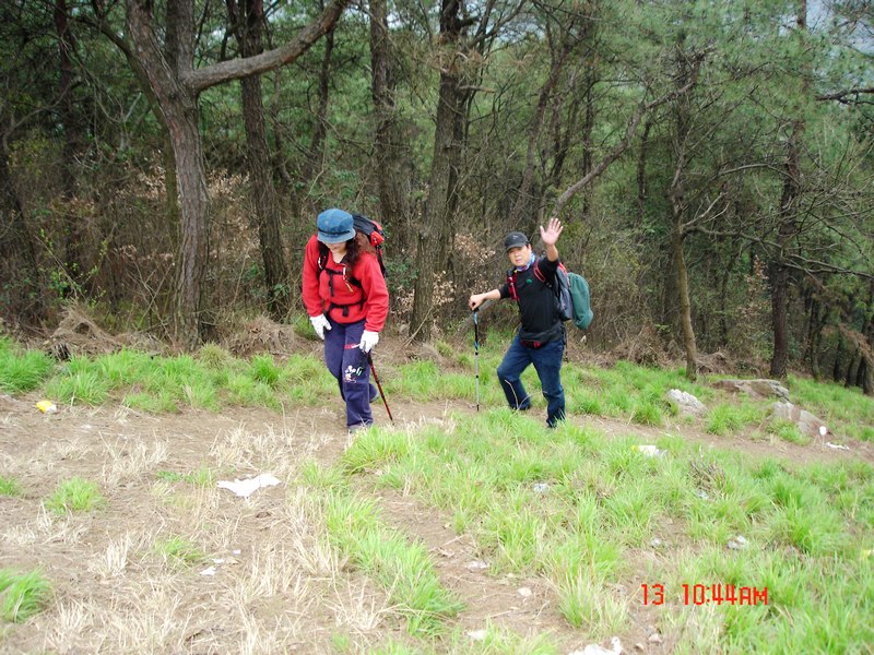 dsc00888x.jpg