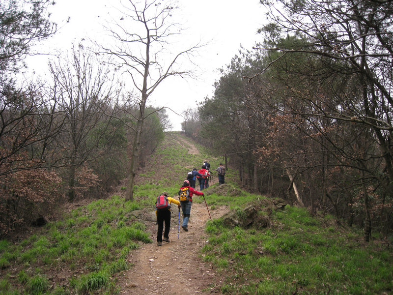 img_4257.jpg