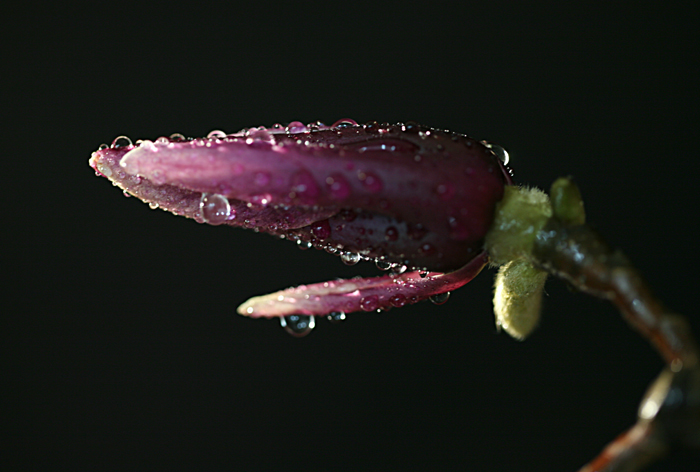 Ƭ 044.jpg