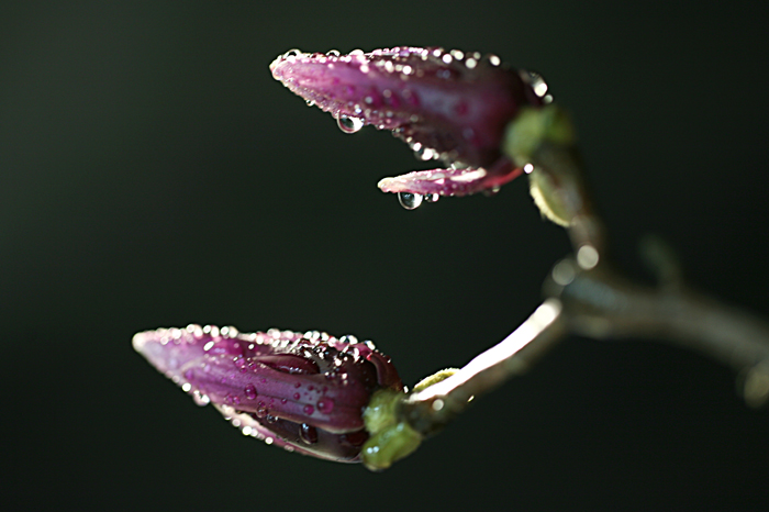 Ƭ 054.jpg