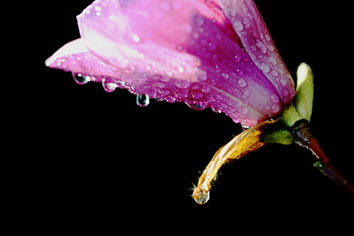   Ƭ 045.jpg