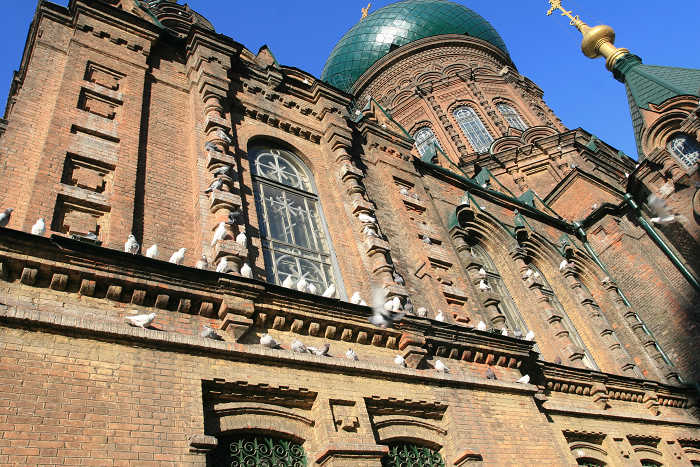 20091110_2853.jpg