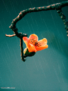 6674f02374418d6092580701.gif