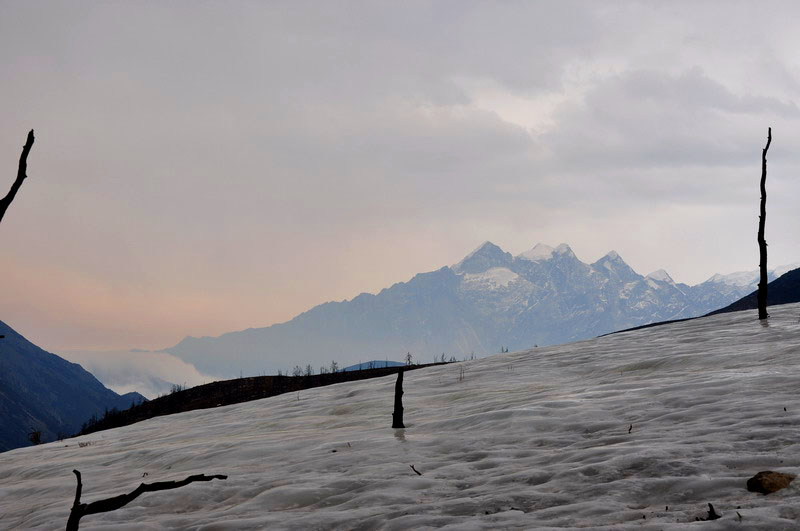 dsc_0537ĺɫ.jpg