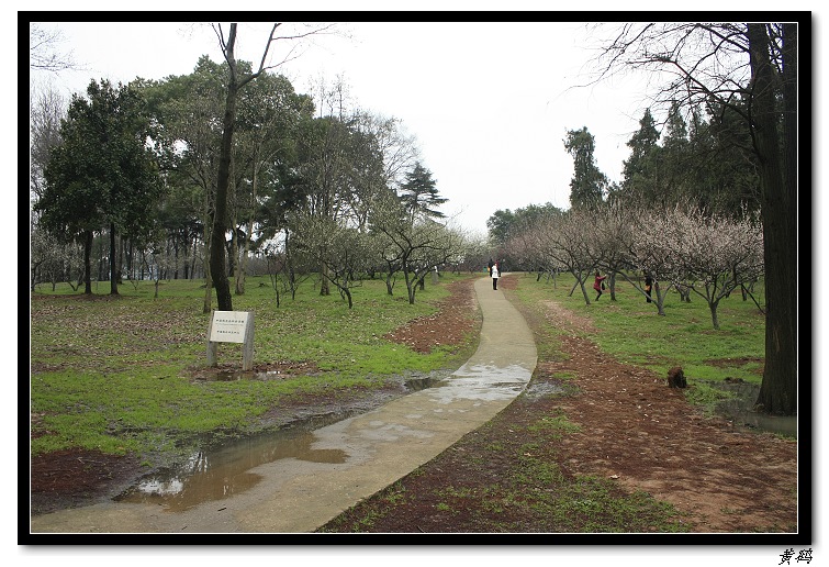 Ƭ 073.jpg