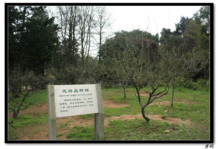Ƭ 095.jpg