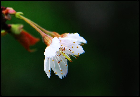 img_8324.jpg