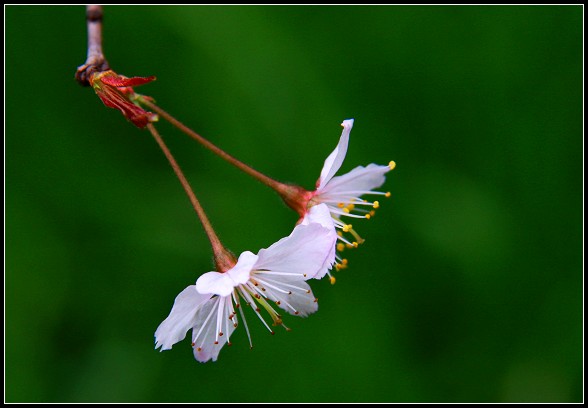 img_8330.jpg