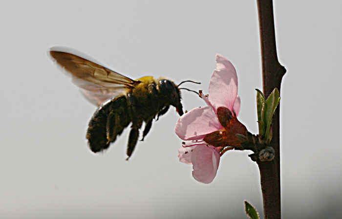 照片ydh 205.jpg