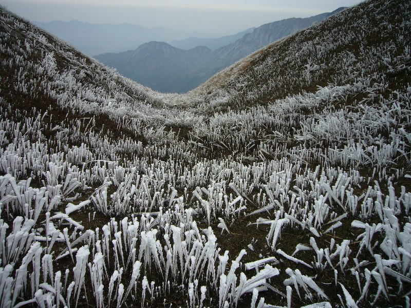 p1130244.jpg