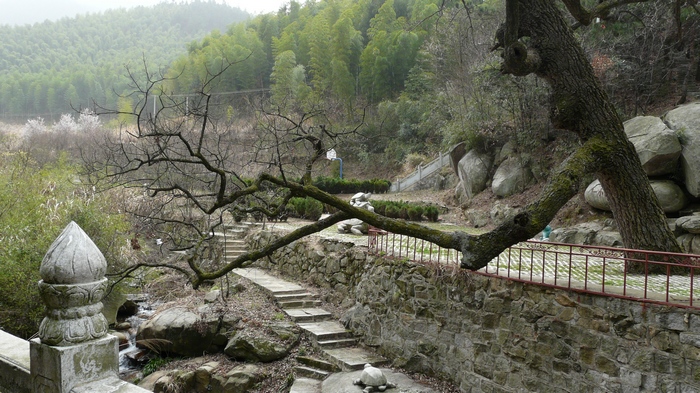 p1110584.jpg